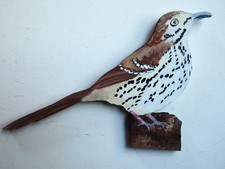 Hand Painted Brown Thrasher Bird - Wall Art By Phyllis
