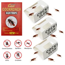 Fly Trap Insect Roach Pest Mosquito Cockroach Killer Odorless Glue Paper Catch