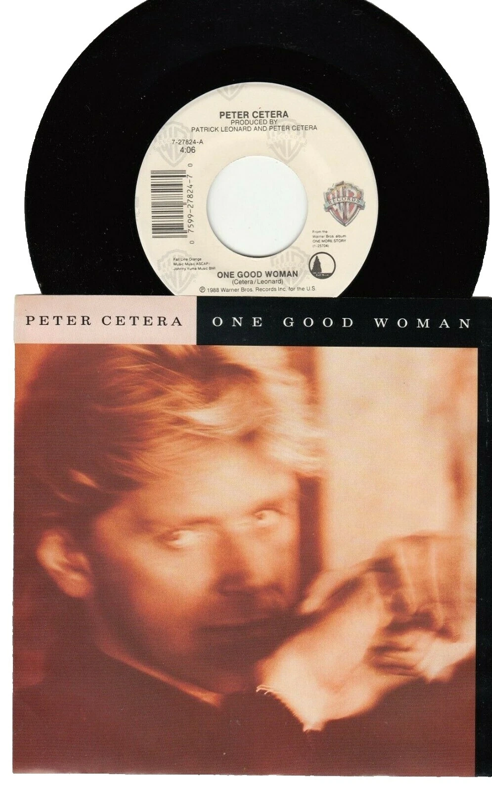 Peter Cetera Pop Vinyl Records