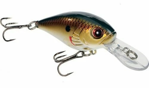 Leurres de surface et poppers pour la pêche au carnassier