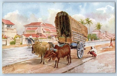 Sri Lanka Postcard Ceylon Bullock Bandy c1910 Antique Unposted Tuck Art - Image 1 of 2
