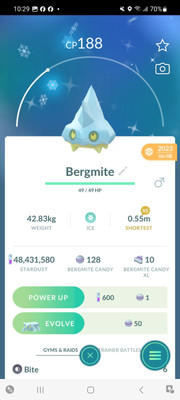 Pokemon Go Shiny Bergmite 