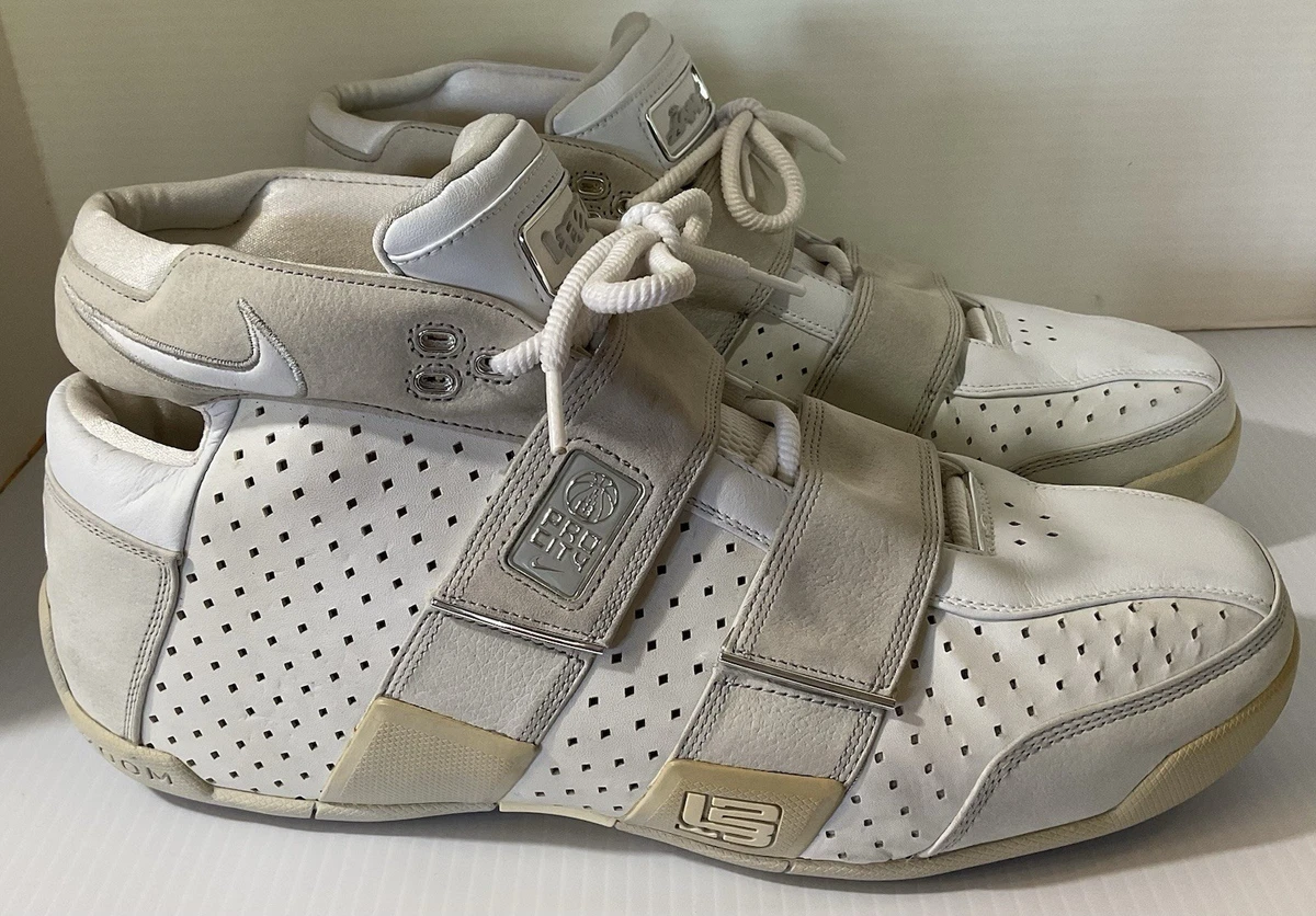 Nike LeBron 20-5-5 Sneakers for Men for Sale | Authenticity