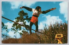 Postal vintage de chimpancé cuerda floja caminante mono selva Miami Florida