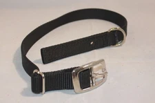 Dog Collar - One size fits all - 3/4" nylon - Adjustable - Pack of 4 (F594-02)