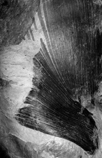 Hans Gissinger LA CONVERSATION VIANDE MEAT Signed Limited Edition Print #107741