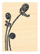 P121 Fiddle Head Fern Rubber Stamp