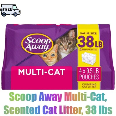 Scoop Away Multi-Cat, Scented Cat Litter, 38 lbs