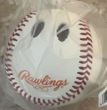 Rawlings Hitters Eye Trainer