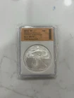 2010 SILVER Eagle,