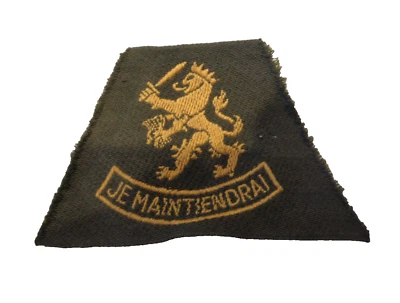 Insigne militaire en tissu, Pays-Bas, Armée Hollandaise, à identifier. - Photo 1/2