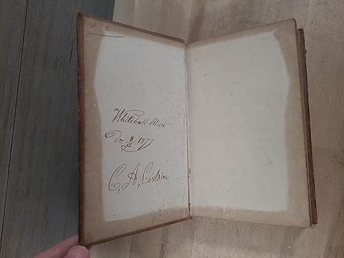 1874 NEW TESTAMENT antique SWEDISH AND ENGLISH leather AMERICAN BIBLE SOCIETY - Picture 11 of 20