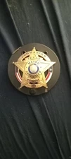 Custom texas security badge and holder, collectors piece!!