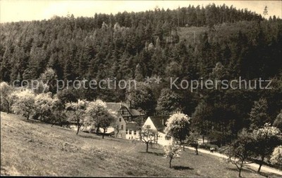 Eisenberg Thueringen Naupoldsmuehle im Muehltal Baumbluete