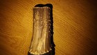 FLEXTONE BONE COLLECTOR'S SERIES ELK/DEER CALL — photo 5