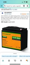 ECO-WORTHY 12V 50Ah LiFePO4 Lithium Battery with Bluetooth & XT60 Interface
