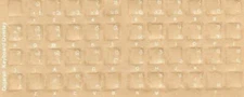 Gujarati Keyboard Stickers Reverse Print White Letters