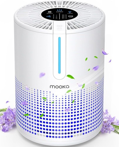 Portable H13 HEPA Air Purifier, USB Powered, 430 Sq.Ft Coverage for Home & Car