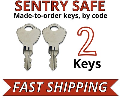 Sentry Safe Keys Firebox Cash Box Replacement Key Cut by Code 3A2-3K2