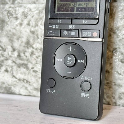 Panasonic IC Recorder 8GB RR-XS470 RR-XS470-K from Japan | eBay