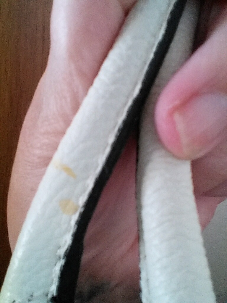 Picture 12 of 12