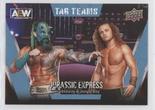 2021 AEW All Elite Wrestling Jungle Boy Jack Perry Luchasaurus & Patch Tag 03wo