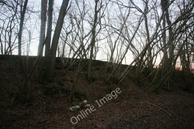 Foto 6x4 Bestückte Bäume, Eisenbahnschnitt, Waldweg Gallypot Straße A 1 c2007