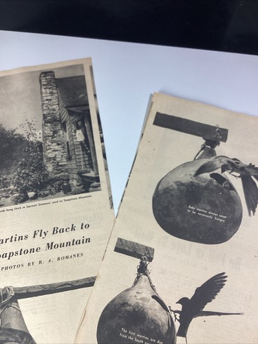 Specksteinberg Atlanta GA Druck Artikel 1952 AJC Martin Bird Garnett Simmons - Bild 4 von 13