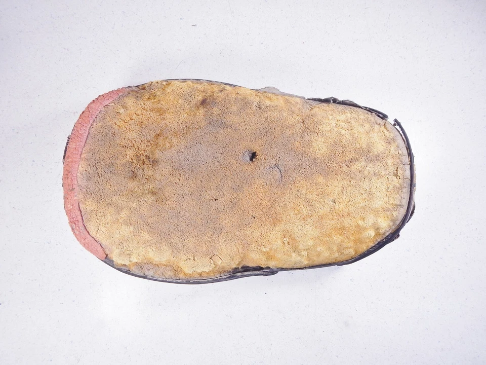 Поддон сиденья 66-68 Honda CT90 CT 200 C 105 T Trail 90 K0 CT200 C105T - Изображение 2 из 4