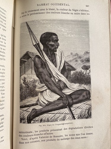Les races humaines. Figuier. 334 gravures et 8 chromolithographies. EO 1872 - Picture 18 of 20