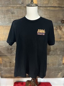 Phoebe Bridgers Tour Shirt | eBay