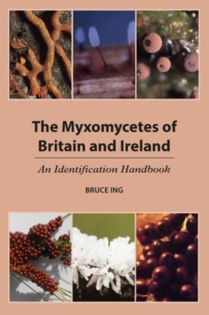 Myxomycetes Of Britain & Ireland