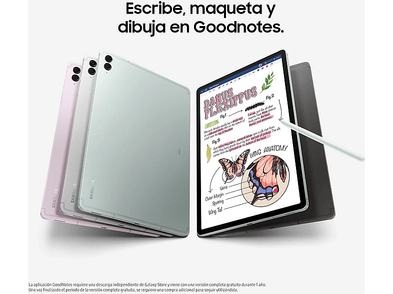 Imagen 5 de 7