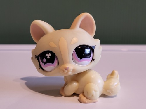 Littlest Pet Shop HASBRO N°626 – Chat Maine Coon Authentique, Figurine Collection