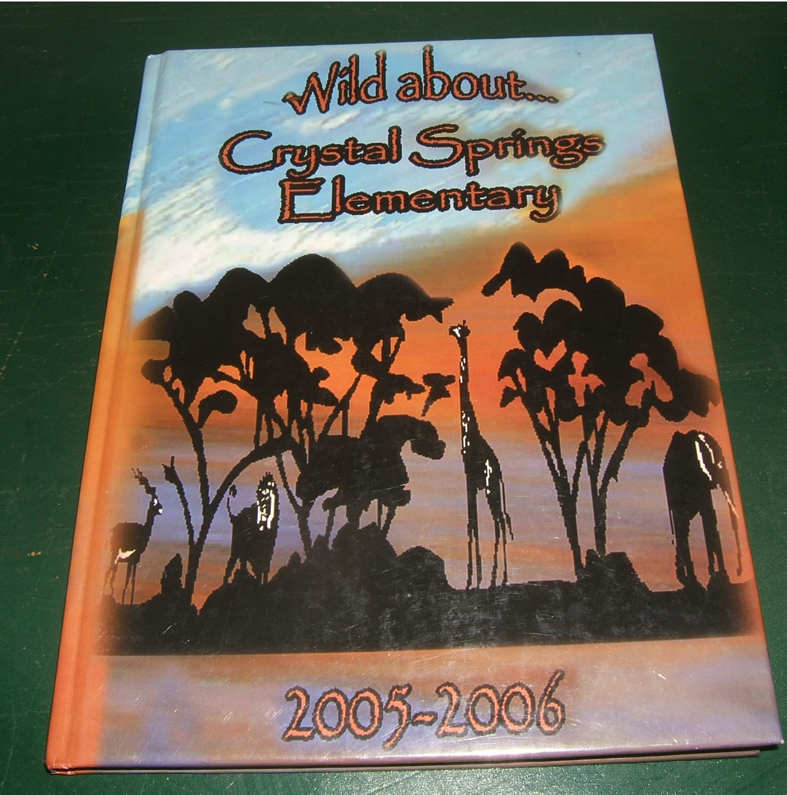 20052006 CRYSTAL SPRINGS ELEMENTARY SCHOOL Jacksonville FL Florida
