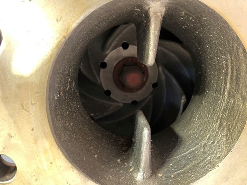 6X4-12 WORTHINGTON 4CNG104 CENTRIFUGAL PUMP, SS, REFURB - Picture 5 of 18