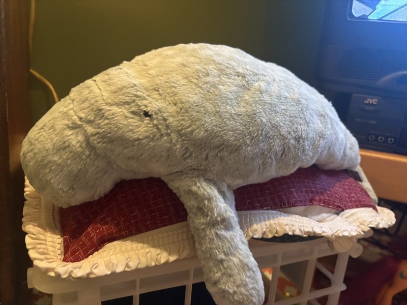 Jellycat Large 25” Billow Manatee  Retired & UltraRare - 100% Auth VERY CLEAN
