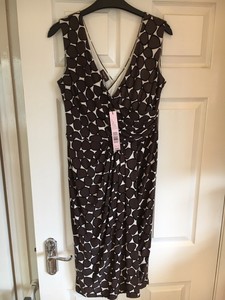 phase eight nico spot dress