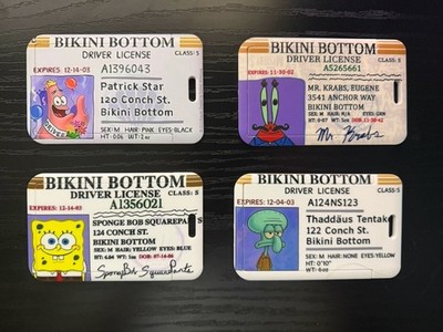 Spongebob Führerschein