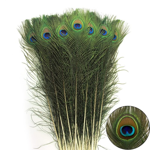 24pcs Peacock Feathers Long Natural in Bulk 32-35 inch 80-90 cm for Vase Craf...
