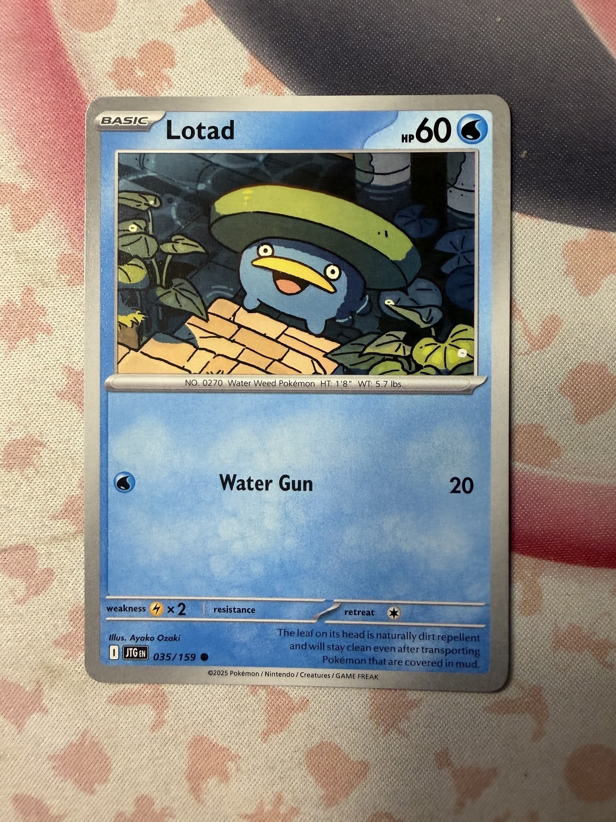 Lotad Common SV09: Journey Together 035/159 NM English