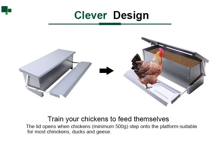 Chook feeders shop ebay