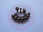RRRacing Titanium Honda Front Brake Disc Bolts CBR 1000 RR RA 1000 S S1 S2   