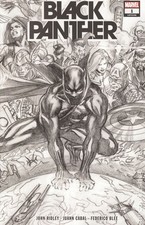 Black Panther 1I Ross B&W Variant 2nd Printing VF 2022 Stock Image