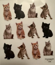 The Paper Studio Sticker Sheet Transparent Realistic Kittens Crafts Scrapbooking