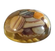 Handmade Coastal Seashell Resin Paperweight | Beach Nautical Desk Decor