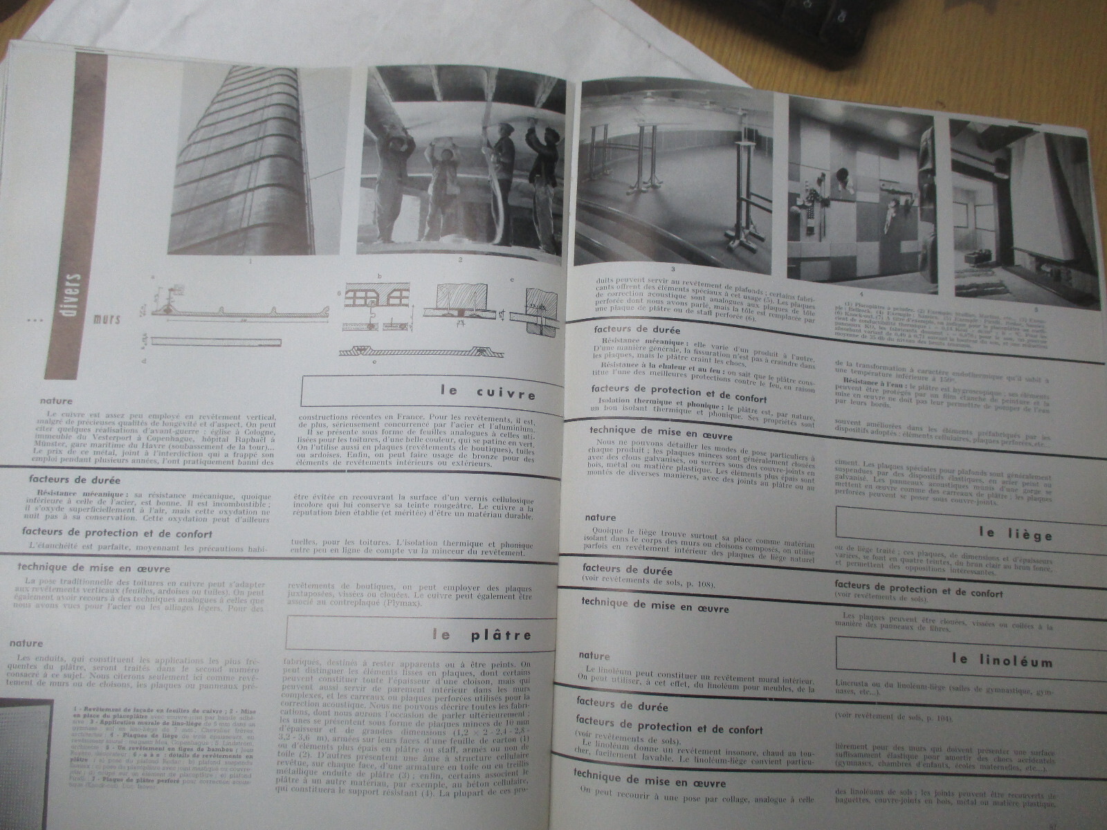 Picture 8 of 8