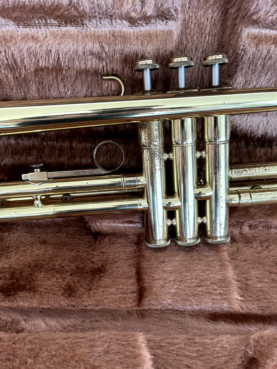 YAMAHA YTR-233 trumpet Mouthpeace Hard case | eBay
