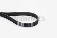 1X Continental Ctam 6PK1538 Keilrippenriemen FüR VW Ford Opel Vauxhall Toyota