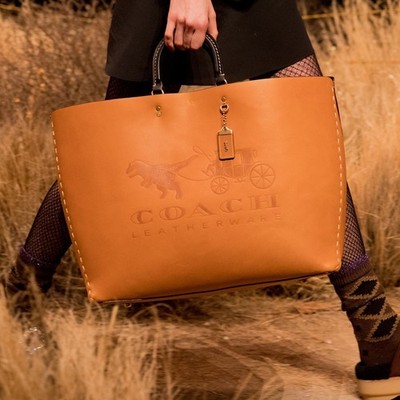 劇レア‼️ Romcouch ドローイング② COACH 1941 Ltd. EDITION REXY & CARRIAGE SADDLE ROGUE TOTE 38